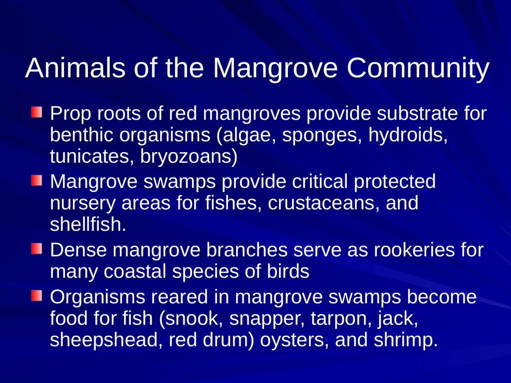 Coastal Ecosystems: Salt Marshes and Mangroves - slide 18 of 22