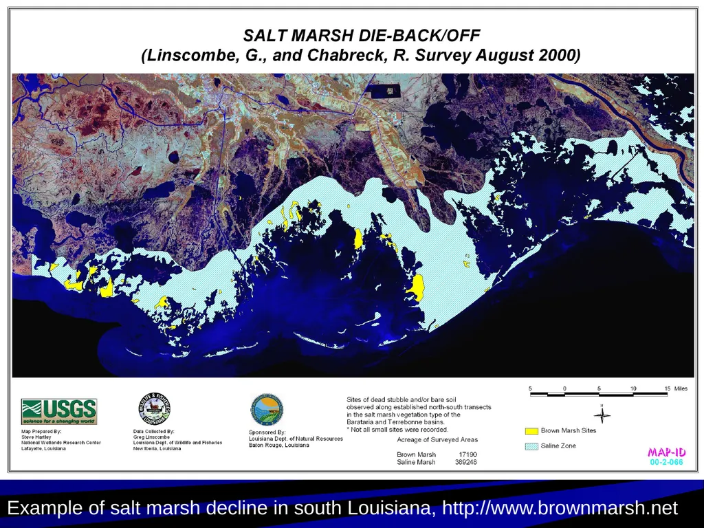Coastal Ecosystems: Salt Marshes and Mangroves - slide 13 of 22