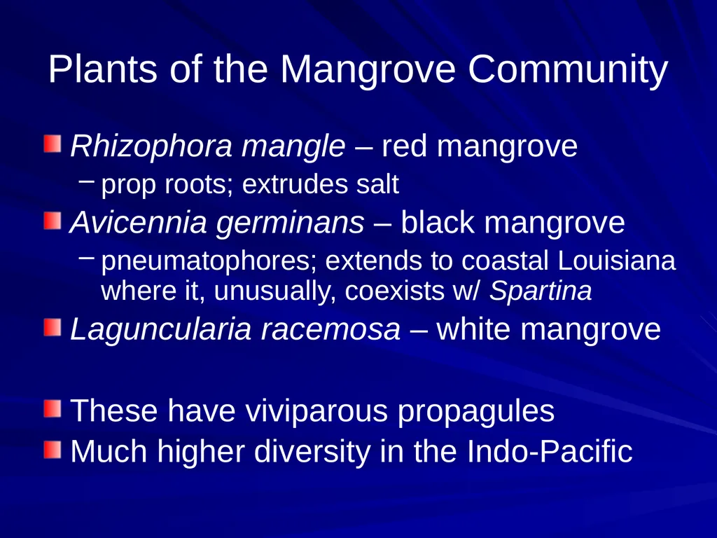 Coastal Ecosystems: Salt Marshes and Mangroves - slide 16 of 22