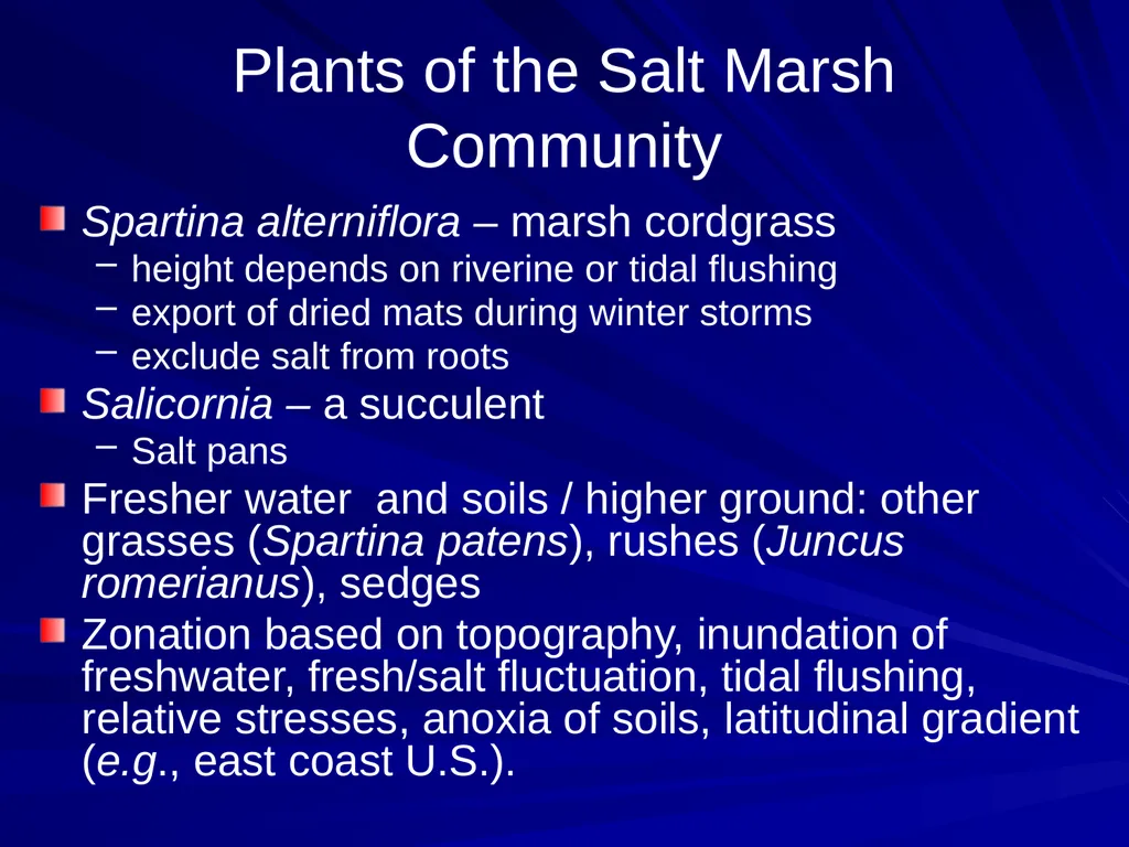 Coastal Ecosystems: Salt Marshes and Mangroves - slide 7 of 22