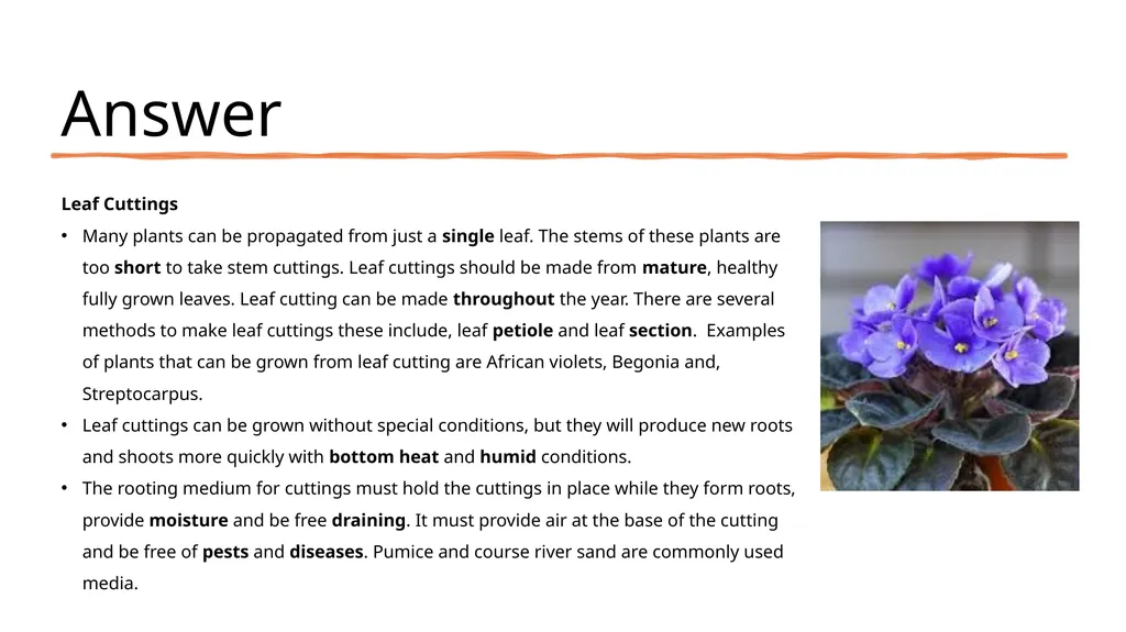 Leaf Cuttings Used for a restricted range of - slide 11 of 12