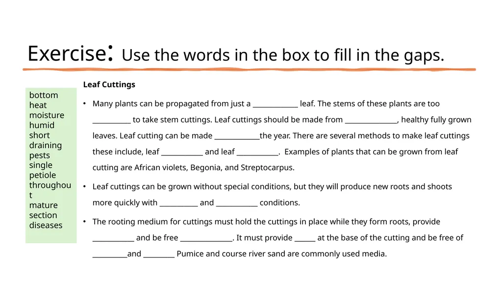 Leaf Cuttings Used for a restricted range of - slide 10 of 12