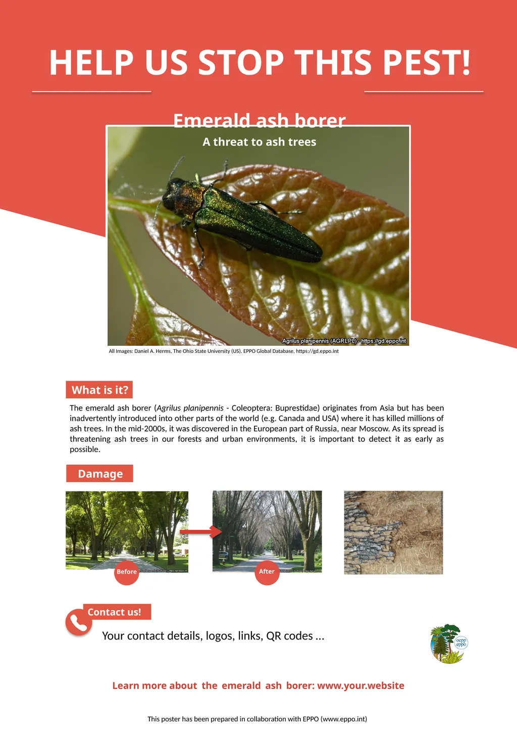 Contact us ! Before After Learn more about the