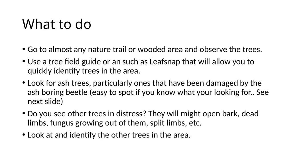 Nature Walk Observations All bite no bark What is - slide 4 of 7