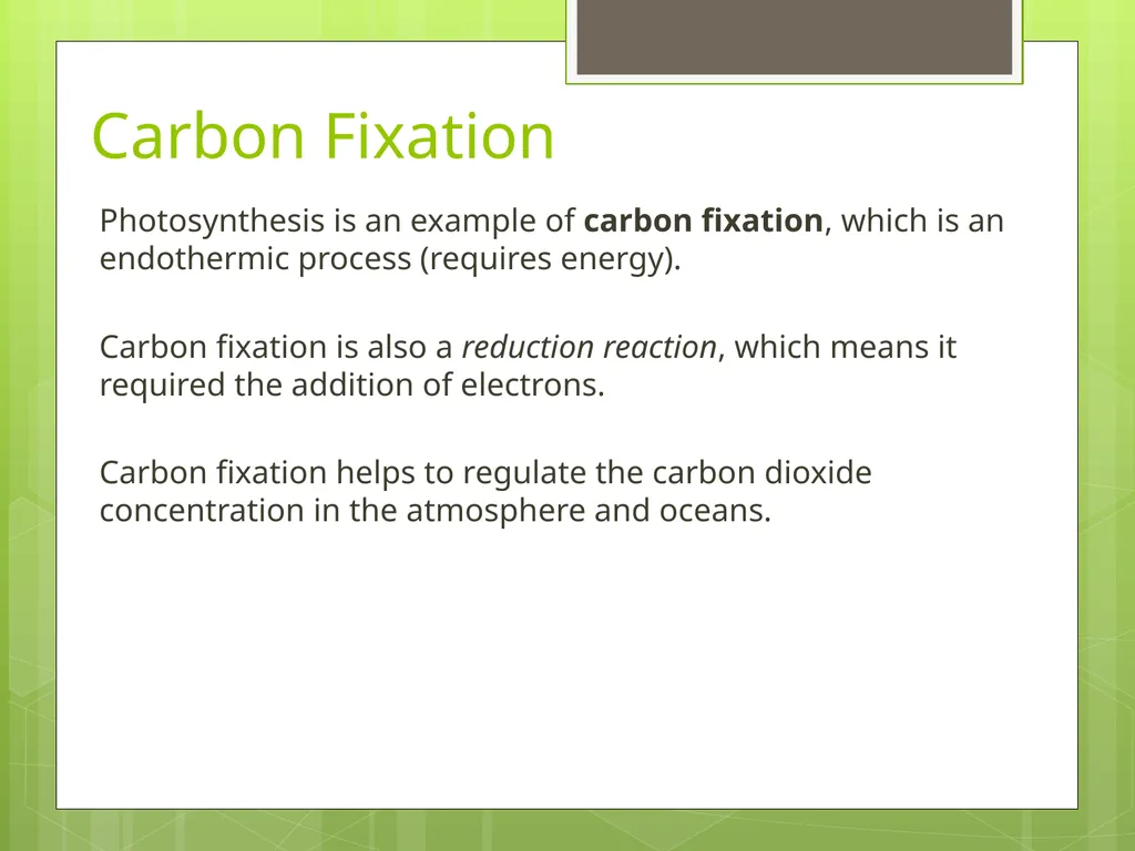 Photosynthesis Lesson 1 The interrelationship - slide 10 of 15