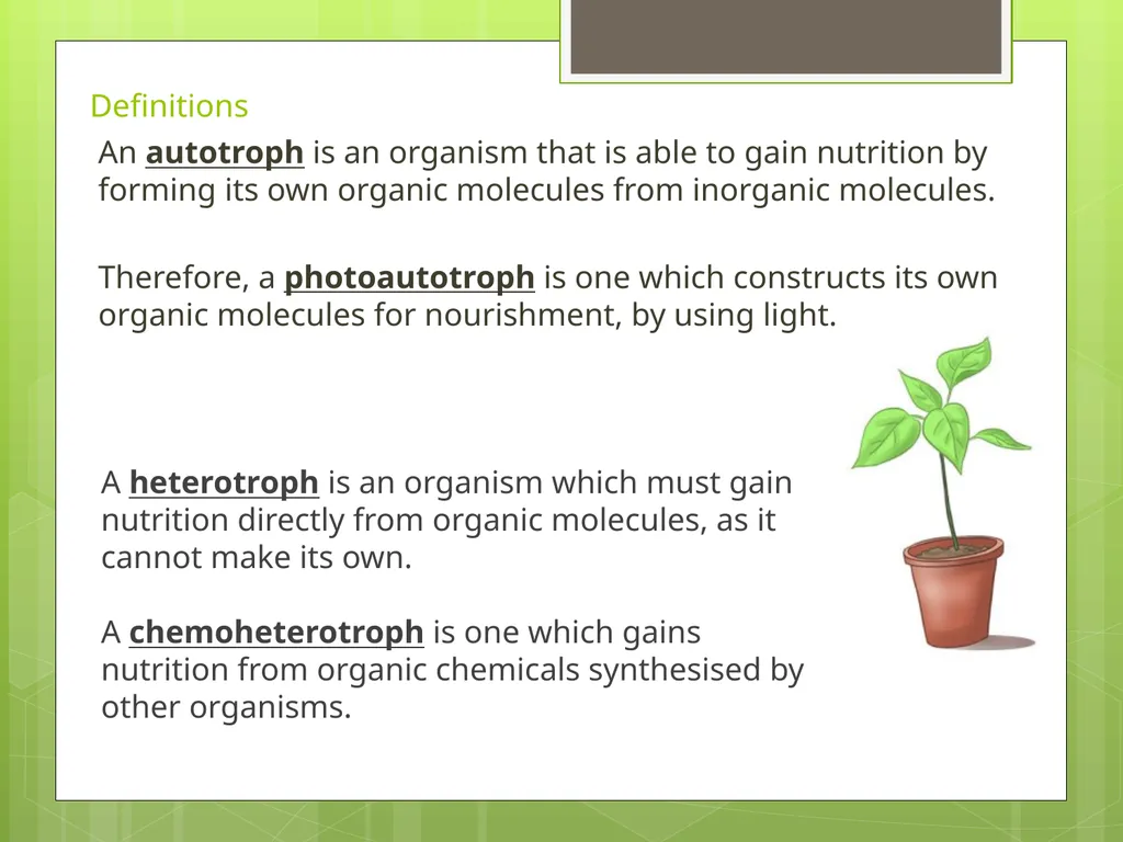 Photosynthesis Lesson 1 The interrelationship - slide 6 of 15