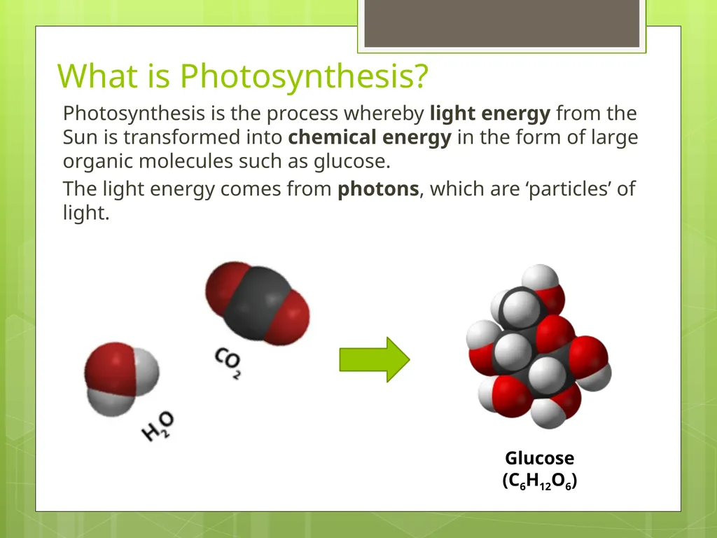 Photosynthesis Lesson 1 The interrelationship - slide 9 of 15