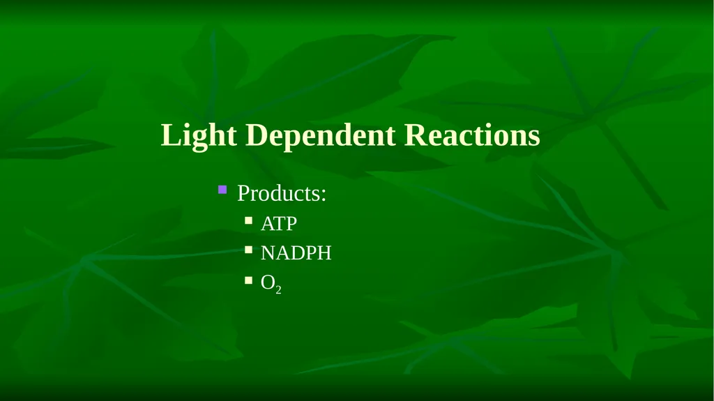 PHOTOSYNTHESIS: LIGHT REACTION GOPAL KRISHNA - slide 15 of 16