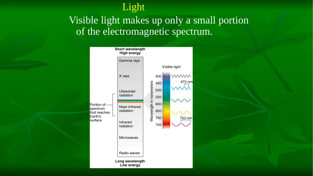 PHOTOSYNTHESIS: LIGHT REACTION GOPAL KRISHNA - slide 8 of 16