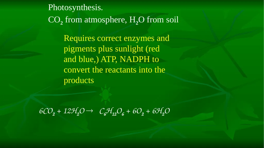 PHOTOSYNTHESIS: LIGHT REACTION GOPAL KRISHNA - slide 3 of 16