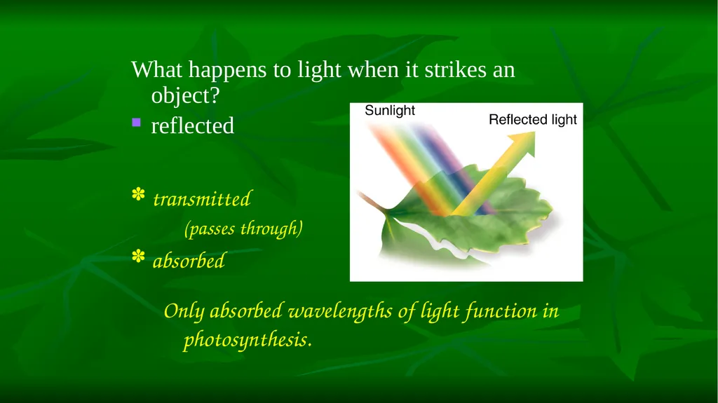 PHOTOSYNTHESIS: LIGHT REACTION GOPAL KRISHNA - slide 5 of 16