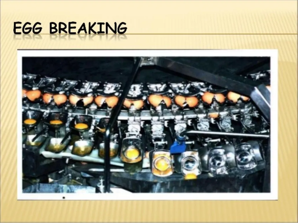 Course Title-EGG AND EGG PRODUCTS TECHNOLOGY - slide 3 of 20
