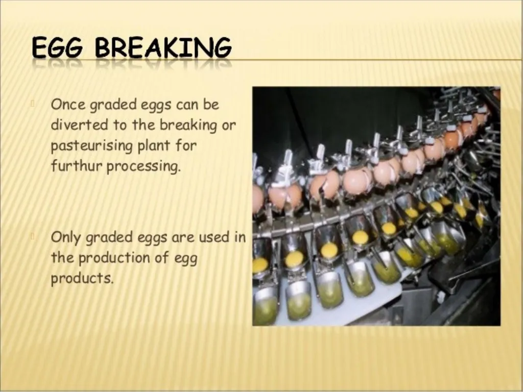 Course Title-EGG AND EGG PRODUCTS TECHNOLOGY - slide 4 of 20