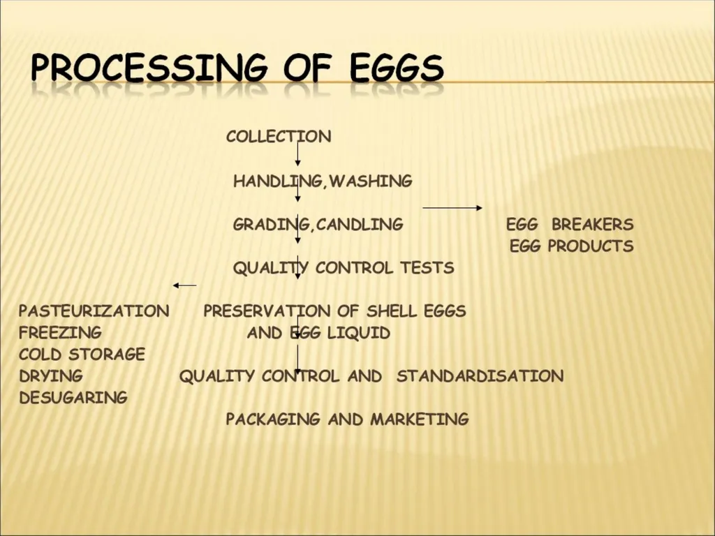 Course Title-EGG AND EGG PRODUCTS TECHNOLOGY - slide 2 of 20