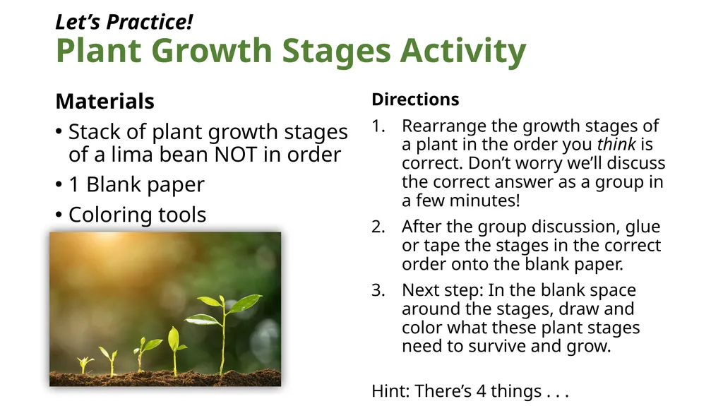 Let’s Learn About Seeds 4 Growth Stages of Plants - slide 7 of 9