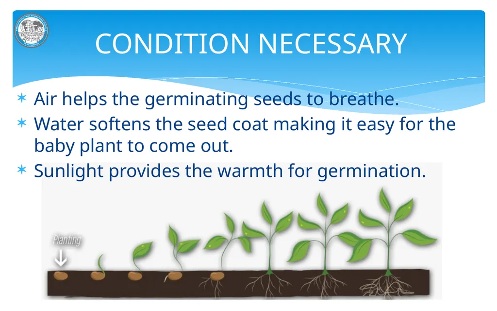 KNF MANAVA BHARATI INDIA INTERNATIONAL SCHOOL - slide 7 of 10