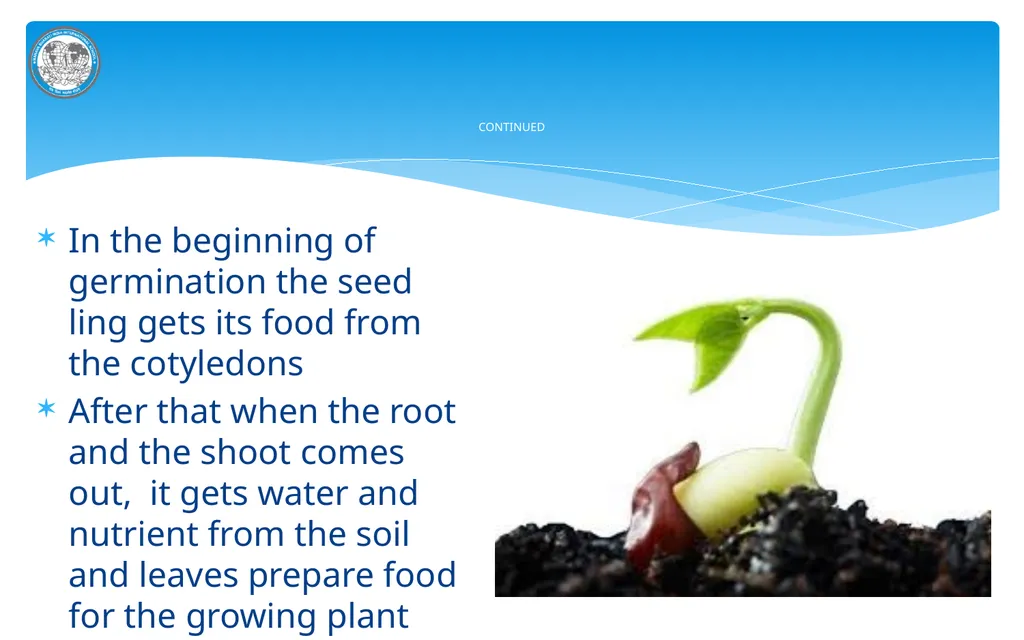 KNF MANAVA BHARATI INDIA INTERNATIONAL SCHOOL - slide 8 of 10