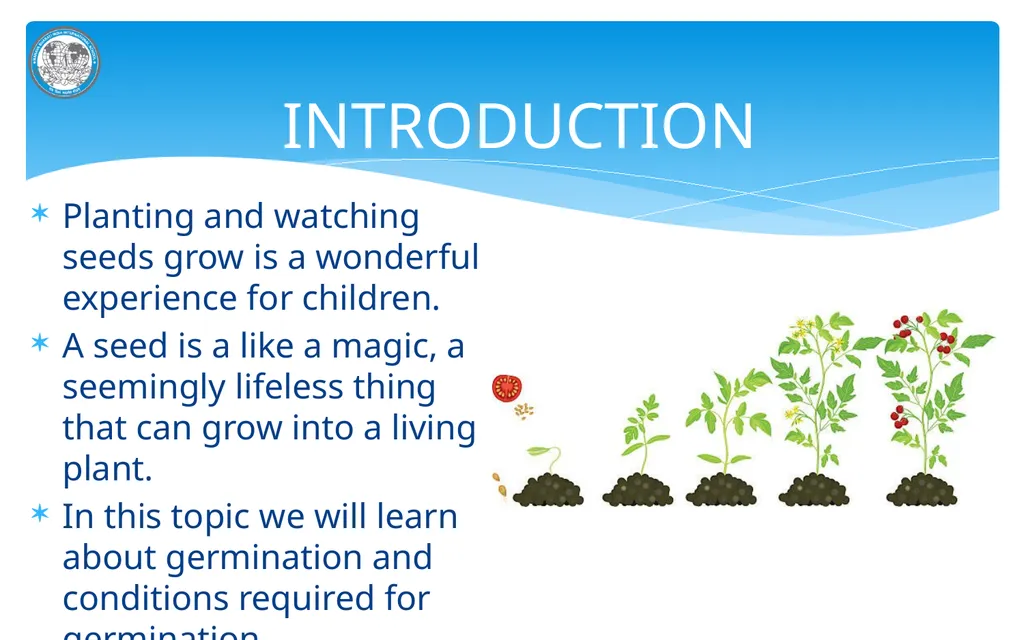 KNF MANAVA BHARATI INDIA INTERNATIONAL SCHOOL - slide 3 of 10