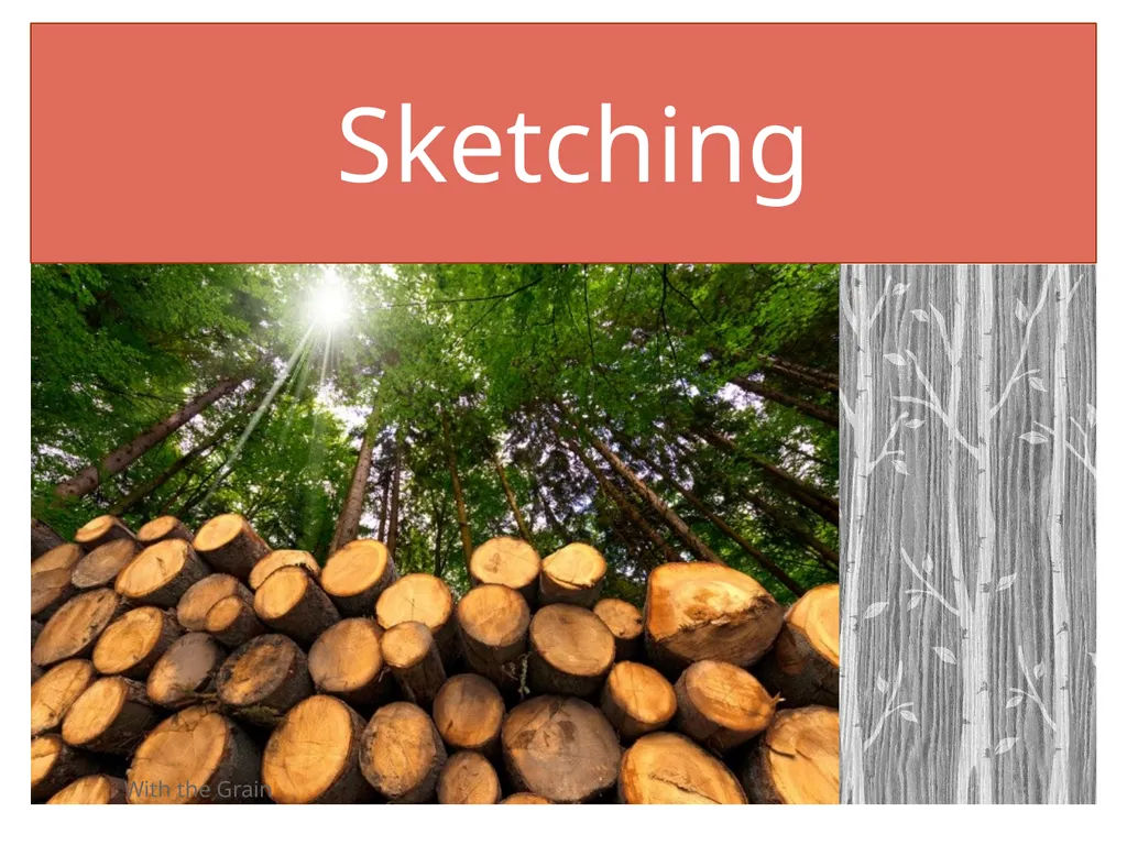 Sketching With the Grain Oblique sketching 45 - slide 1 of 4