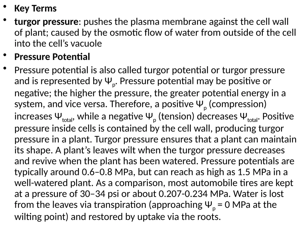 Plant Physiology (6) by Dr. Manal Zbari Transport - slide 11 of 25