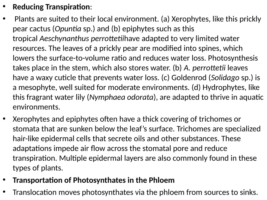 Plant Physiology (6) by Dr. Manal Zbari Transport - slide 19 of 25
