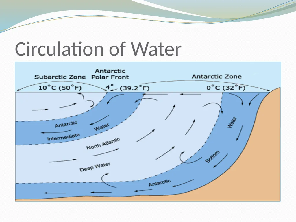 Biology Chapter 29 Origin and Distribution of - slide 23 of 25