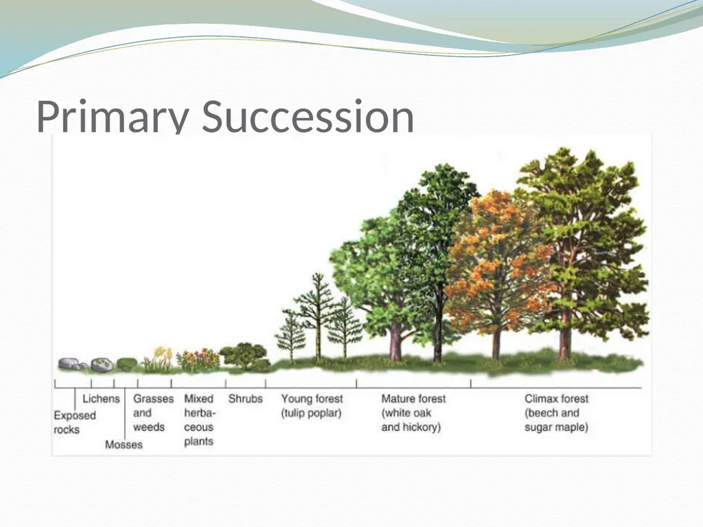 Biology Chapter 29 Origin and Distribution of - slide 7 of 25