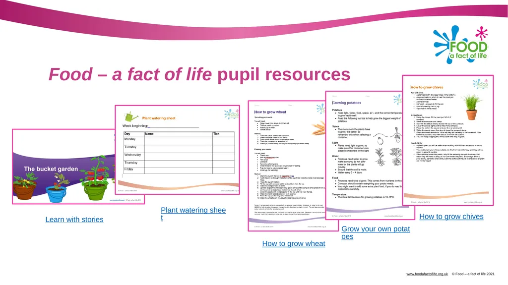 Using school gardens to explore where food comes - slide 4 of 7