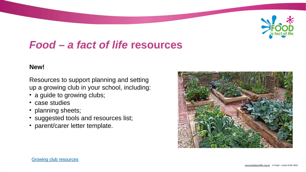 Using school gardens to explore where food comes - slide 3 of 7