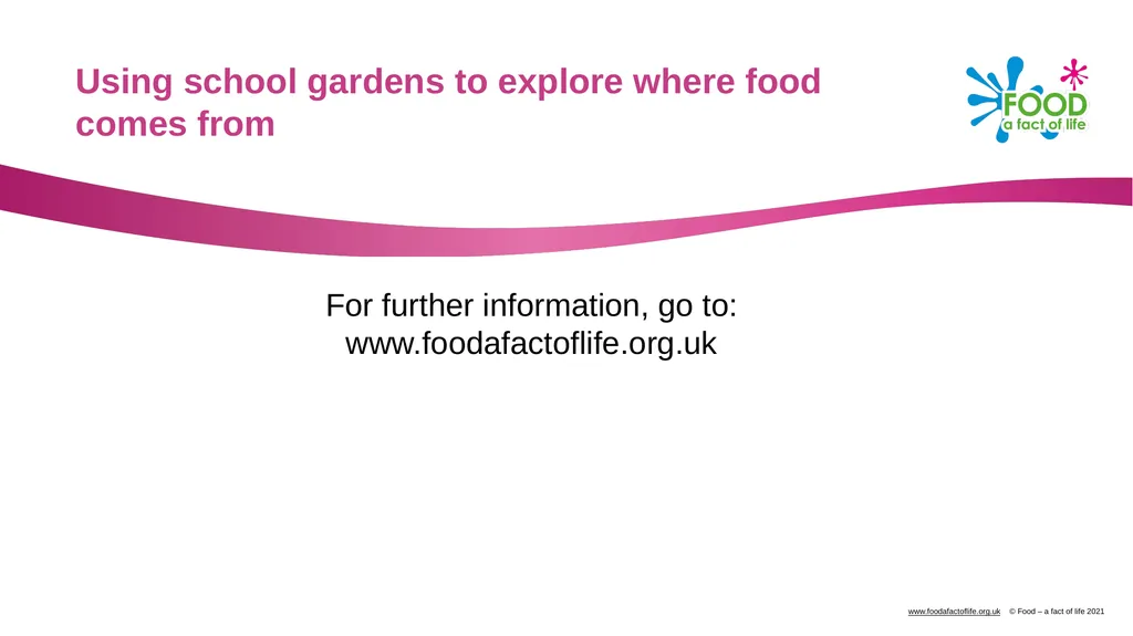 Using school gardens to explore where food comes - slide 7 of 7