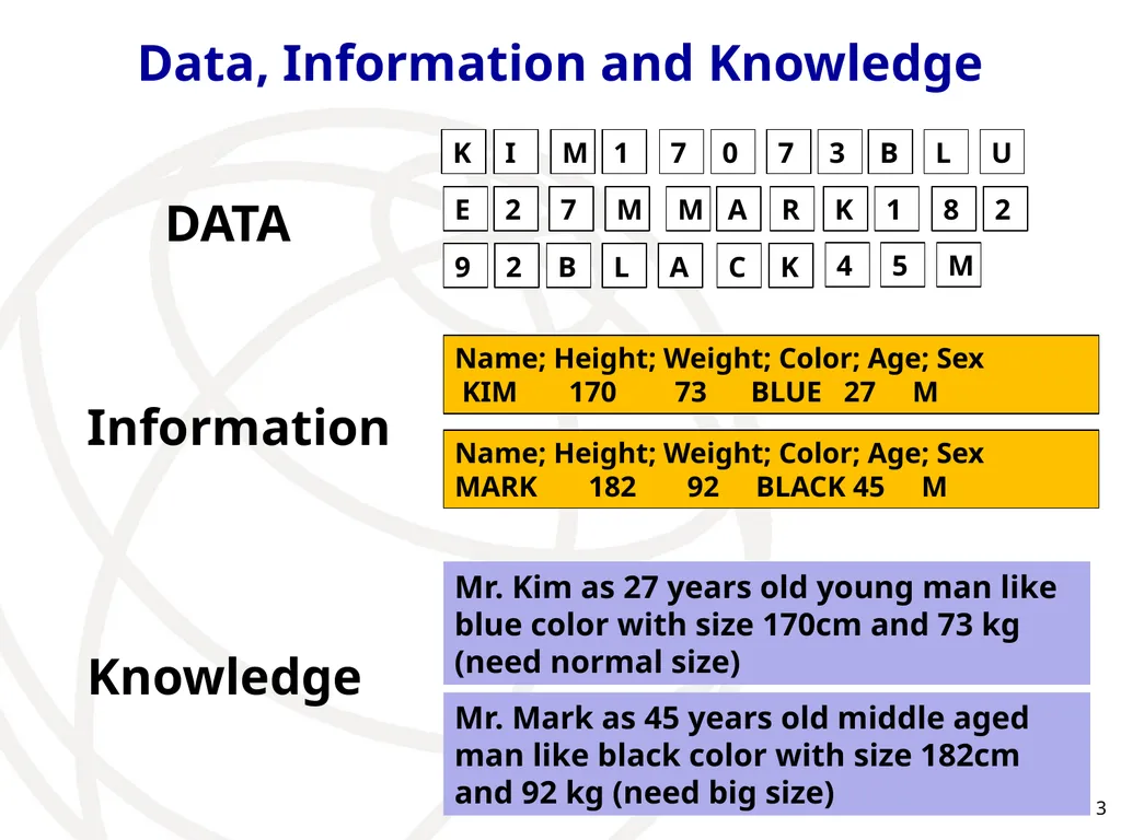 Big Data: Meaning for Telecommunications Chae-Sub - slide 3 of 10