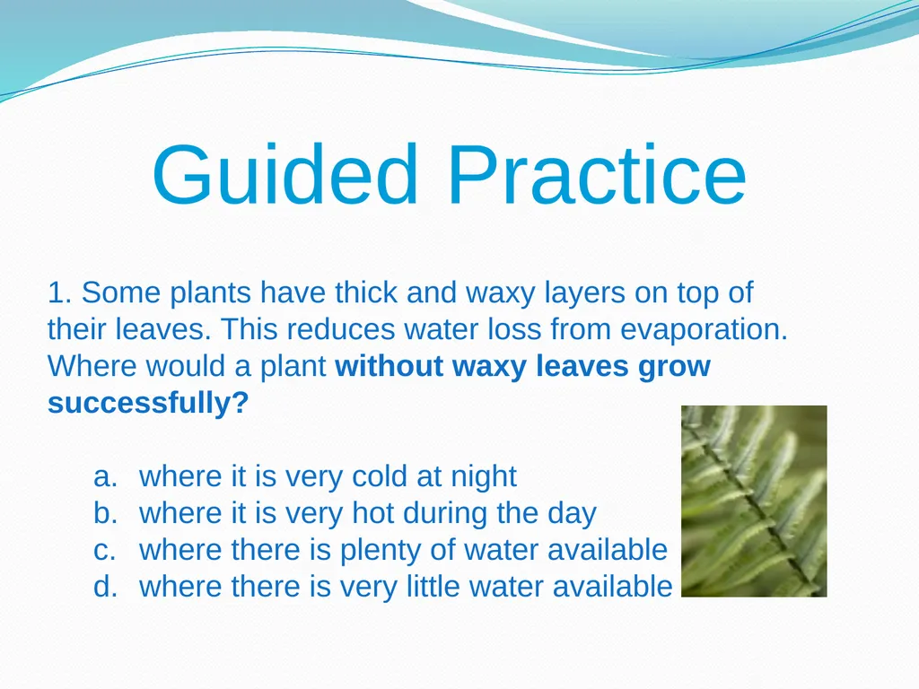Elementary Science Science Focus Lesson - slide 8 of 20