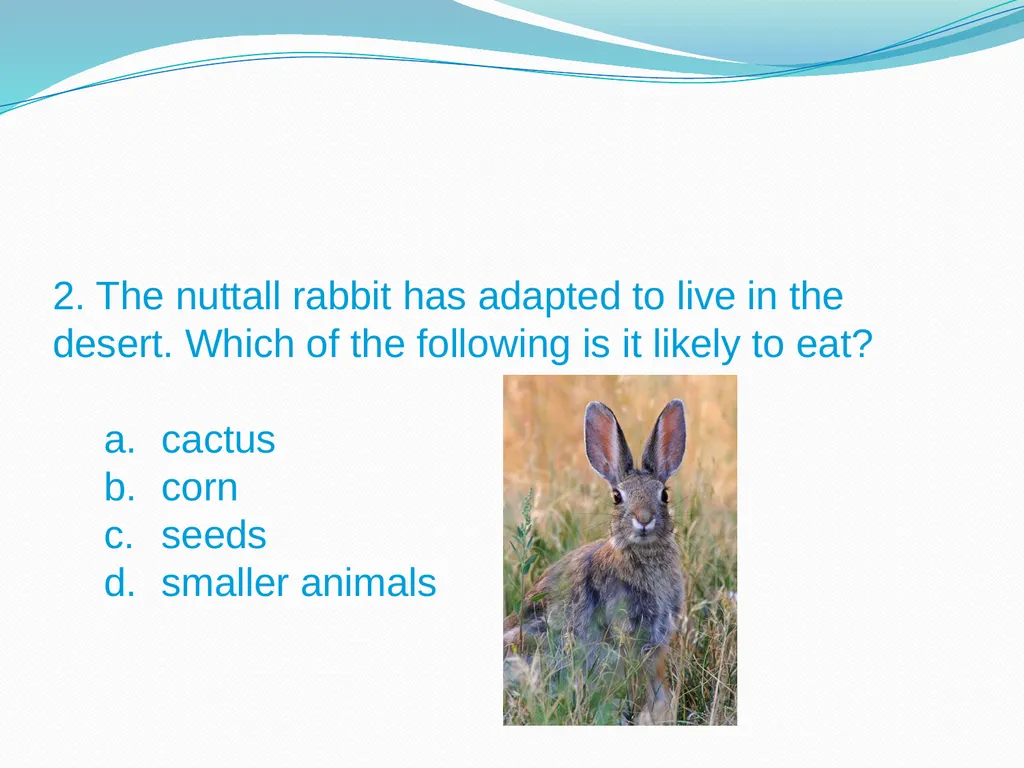 Elementary Science Science Focus Lesson - slide 16 of 20