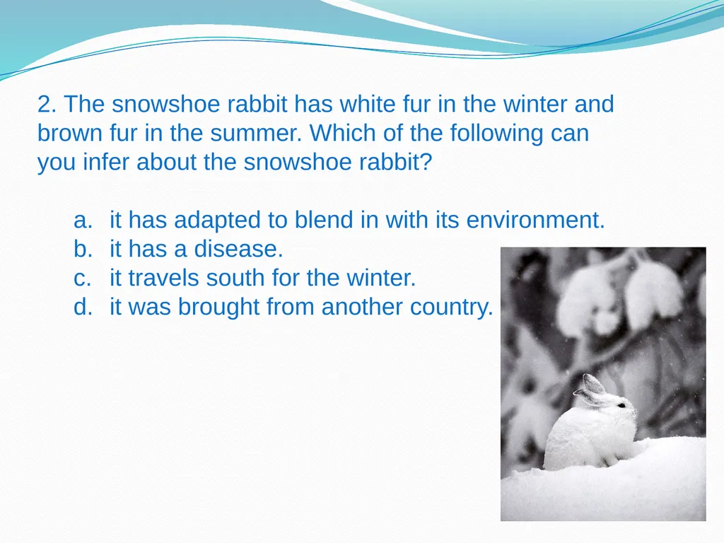 Elementary Science Science Focus Lesson - slide 10 of 20