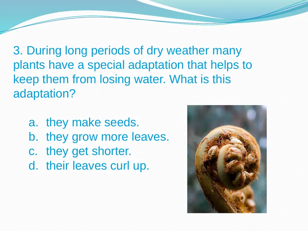 Elementary Science Science Focus Lesson - slide 17 of 20