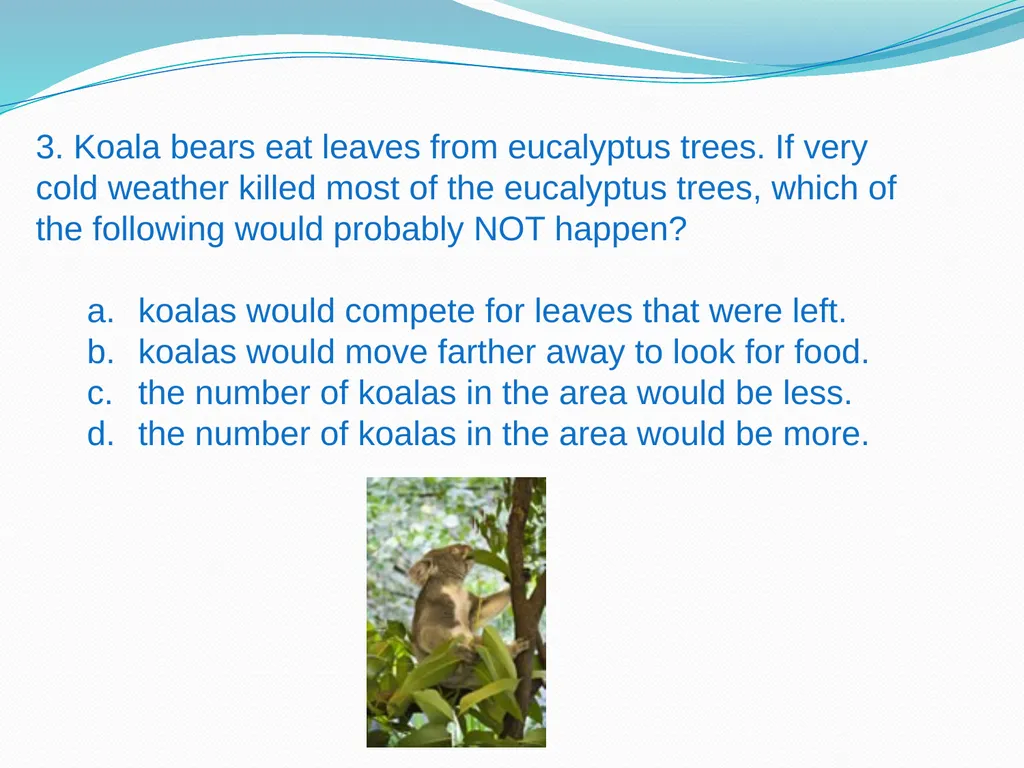 Elementary Science Science Focus Lesson - slide 12 of 20