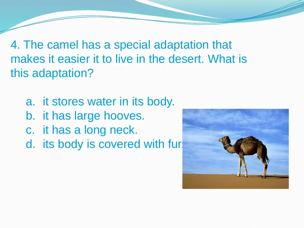 Elementary Science Science Focus Lesson - slide 18 of 20