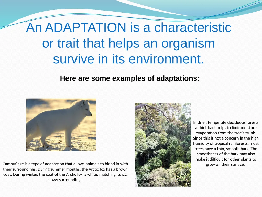 Elementary Science Science Focus Lesson - slide 3 of 20