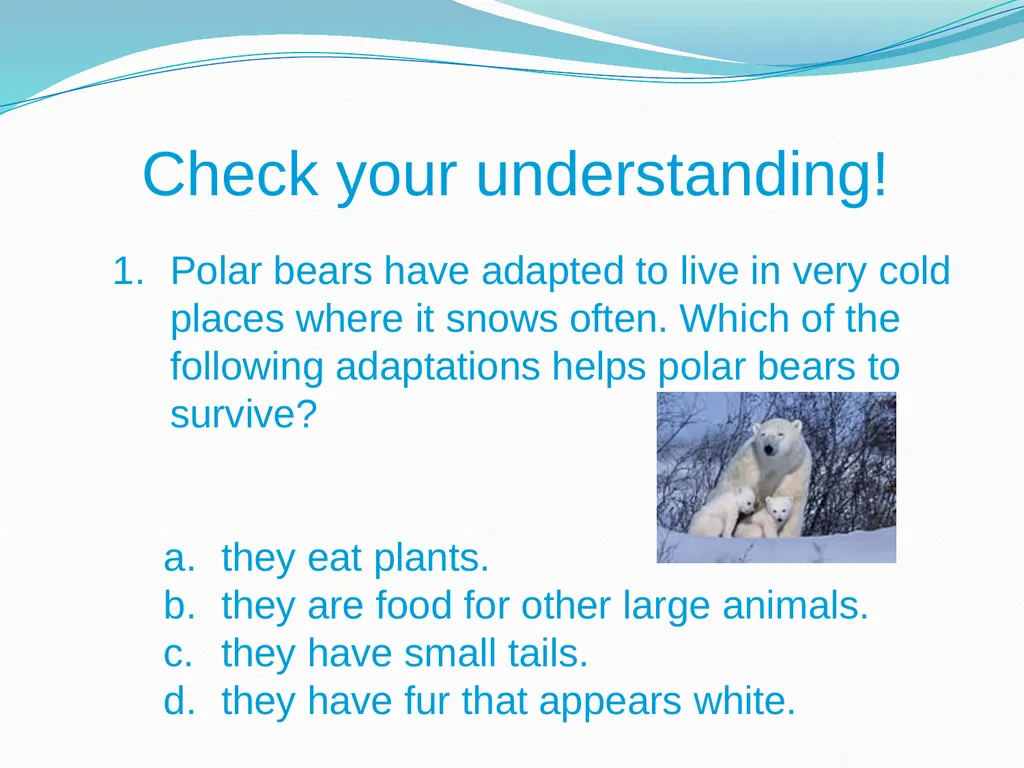 Elementary Science Science Focus Lesson - slide 15 of 20