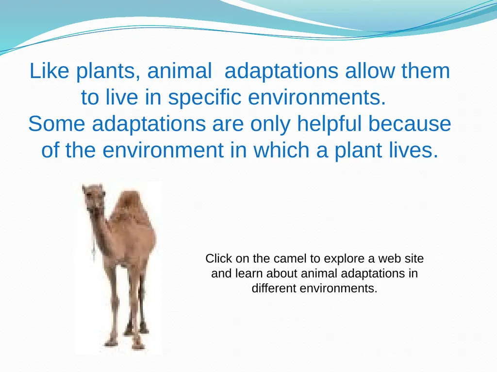 Elementary Science Science Focus Lesson - slide 6 of 20