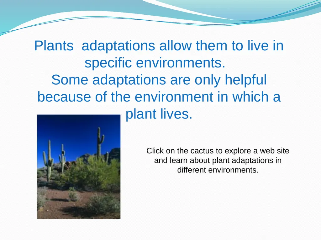 Elementary Science Science Focus Lesson - slide 4 of 20
