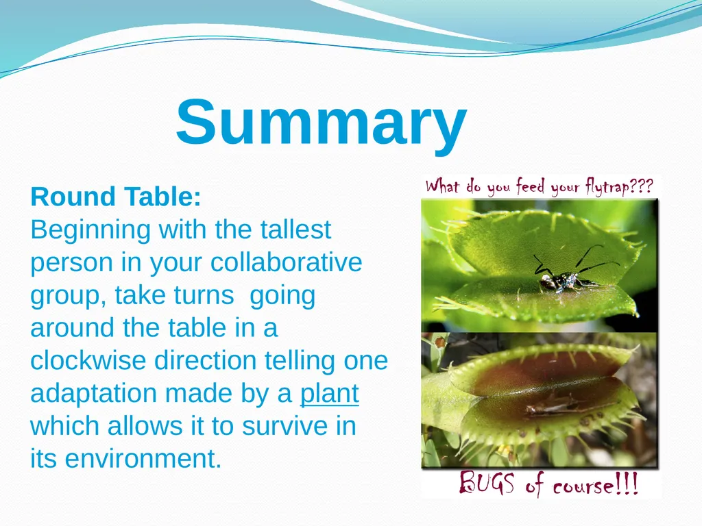 Elementary Science Science Focus Lesson - slide 5 of 20