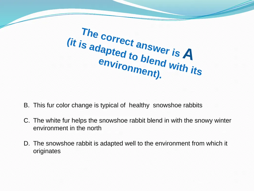 Elementary Science Science Focus Lesson - slide 11 of 20