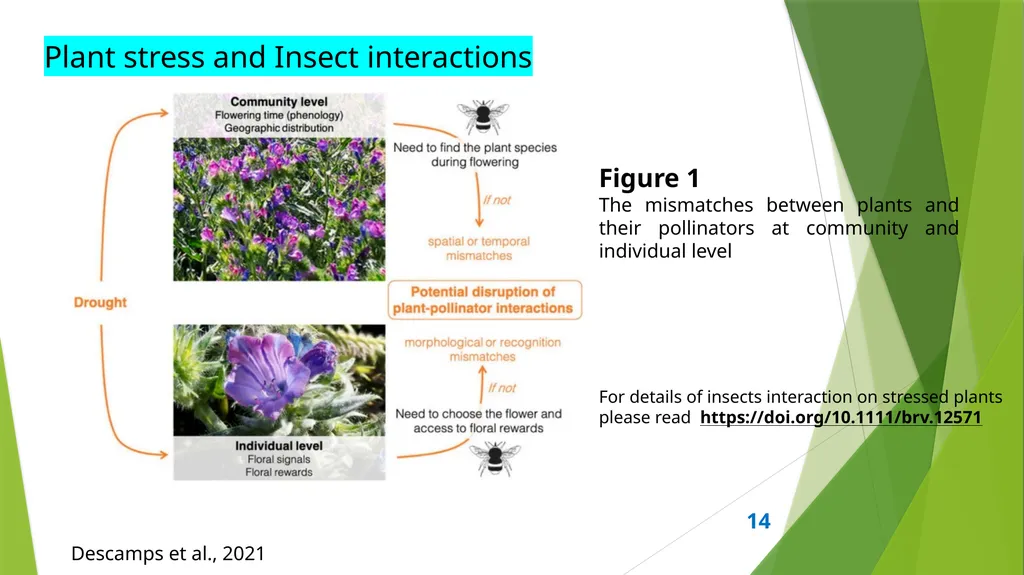PLPT 609 Title: Inter-Relationships Between - slide 14 of 17