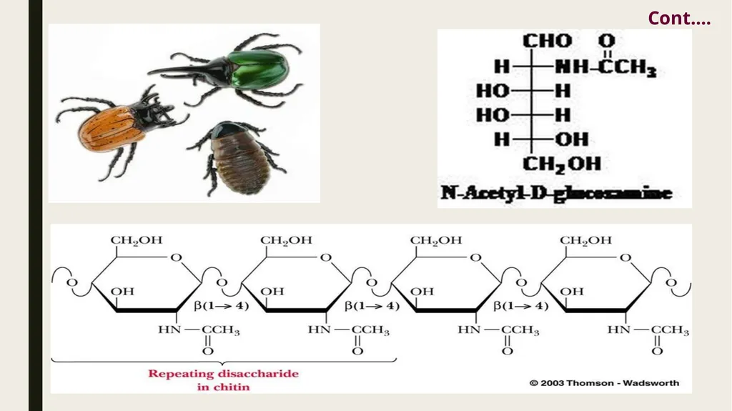 LESSON-1 BASIC TERMINOLOGY AND CLASSIFICATION OF - slide 14 of 37