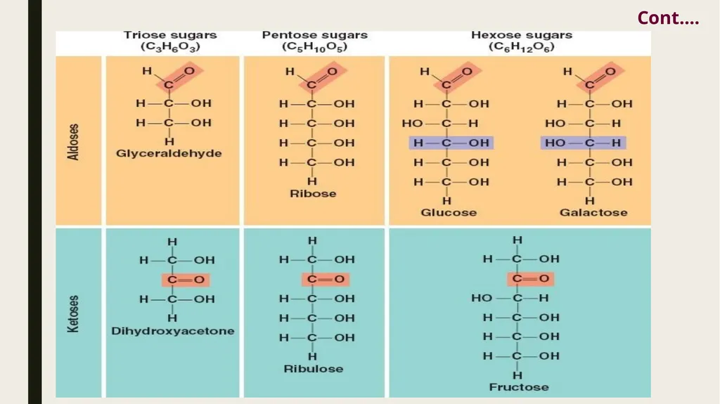LESSON-1 BASIC TERMINOLOGY AND CLASSIFICATION OF - slide 8 of 37