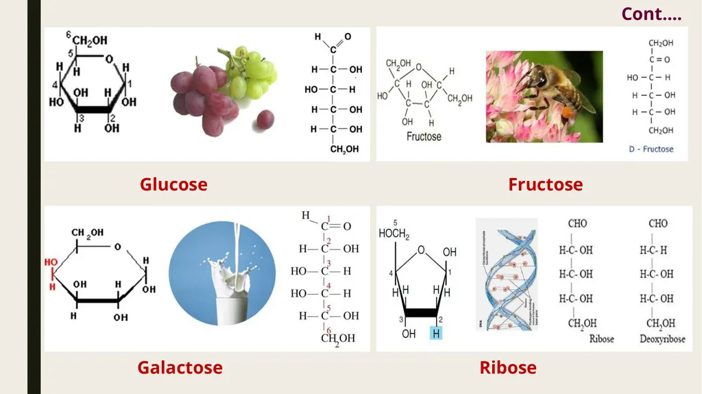 LESSON-1 BASIC TERMINOLOGY AND CLASSIFICATION OF - slide 22 of 37