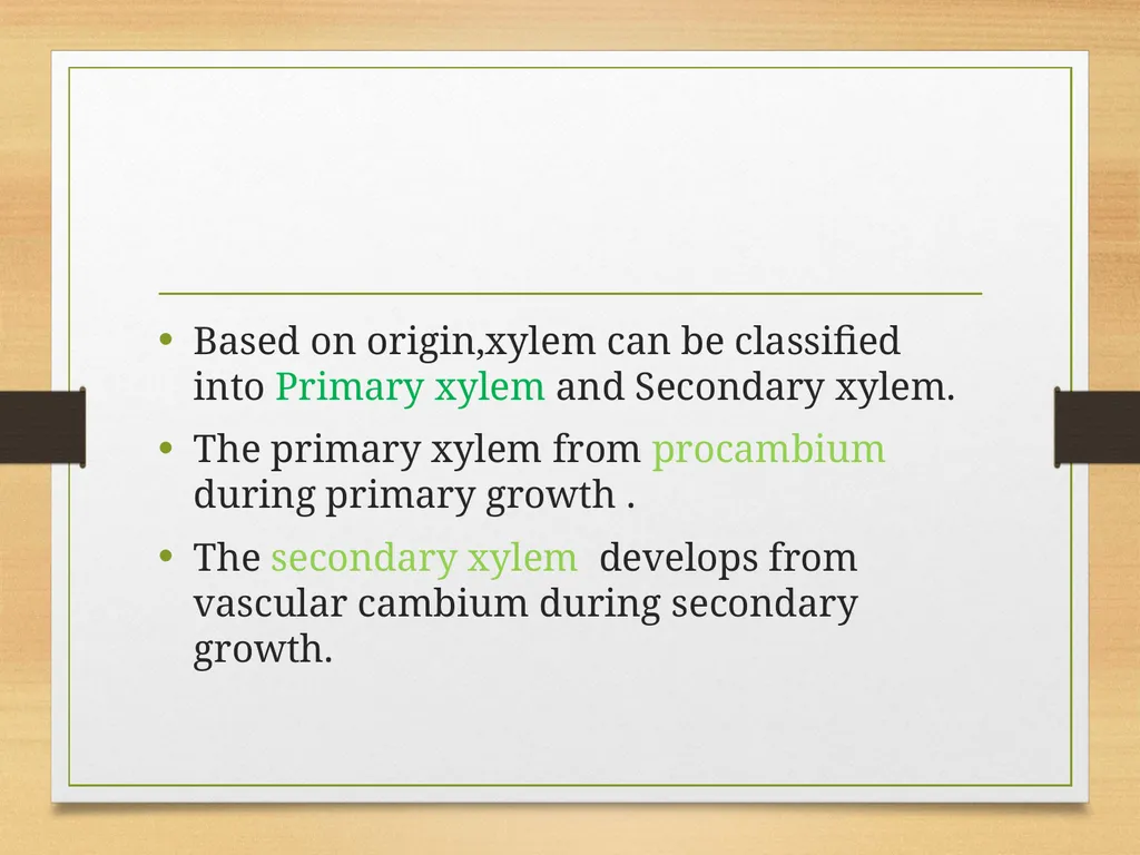 COMPLEX TISSUES Presented by Jipcy Mol.P COMPLEX - slide 6 of 33