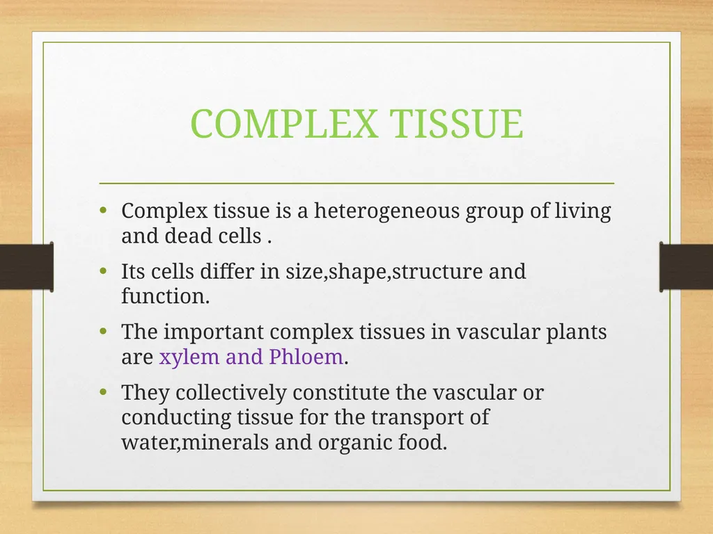 COMPLEX TISSUES Presented by Jipcy Mol.P COMPLEX - slide 2 of 33