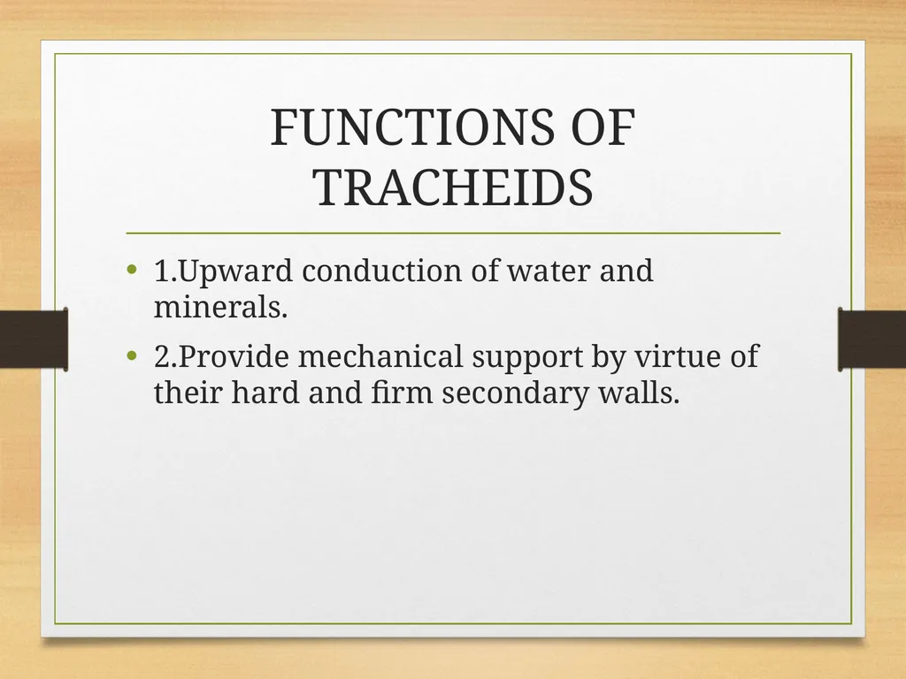 COMPLEX TISSUES Presented by Jipcy Mol.P COMPLEX - slide 11 of 33